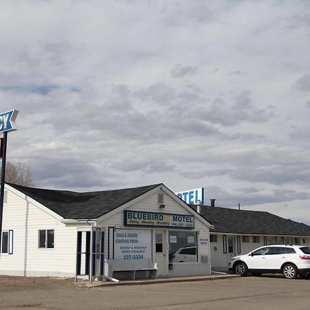 Bluebird Motel Innisfail Zewnętrze zdjęcie