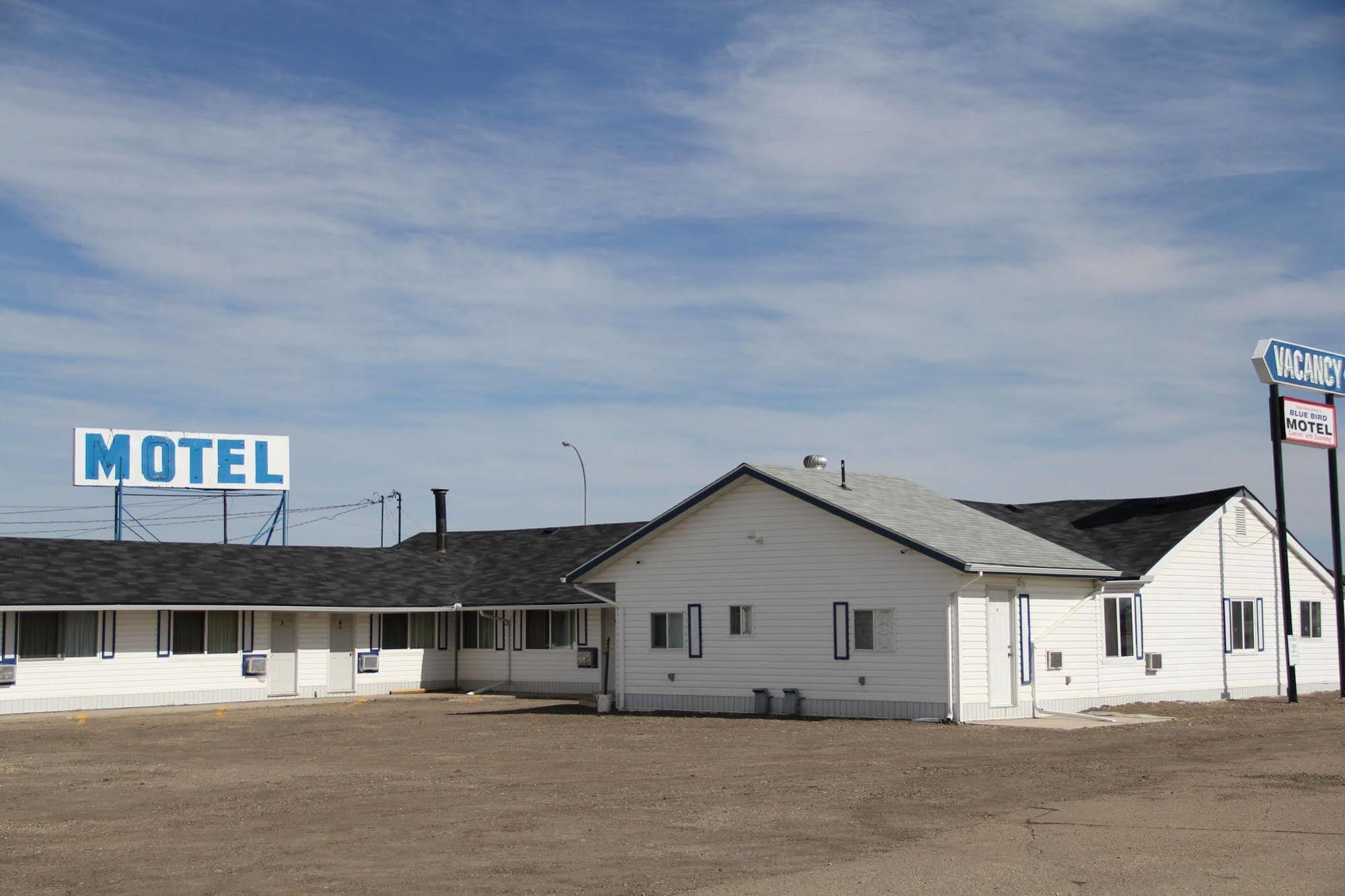 Bluebird Motel Innisfail Zewnętrze zdjęcie