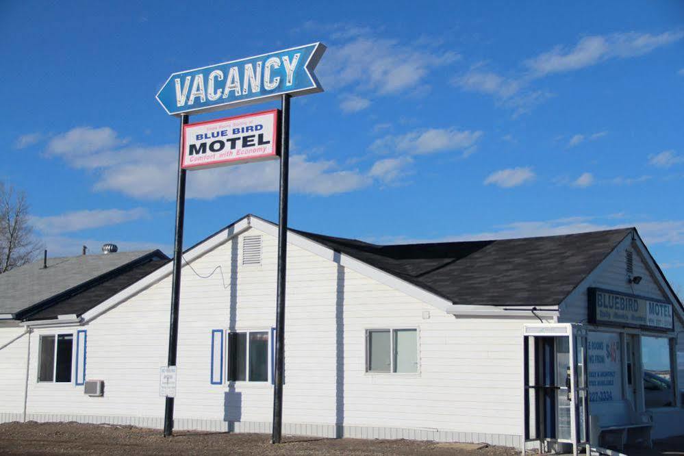 Bluebird Motel Innisfail Zewnętrze zdjęcie